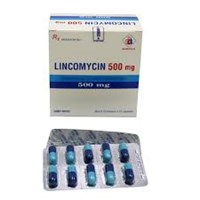 Thuốc LINCOCIN 500MG 16 VIÊN